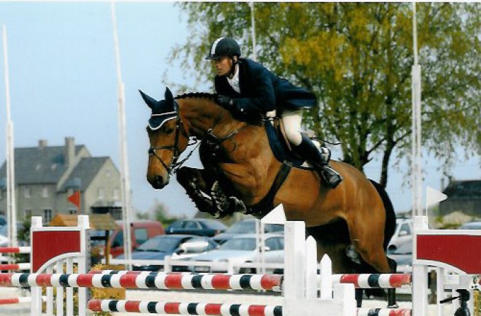 Walnut de Muze 6e in Belgian Bred op internationale jumping Mechelen