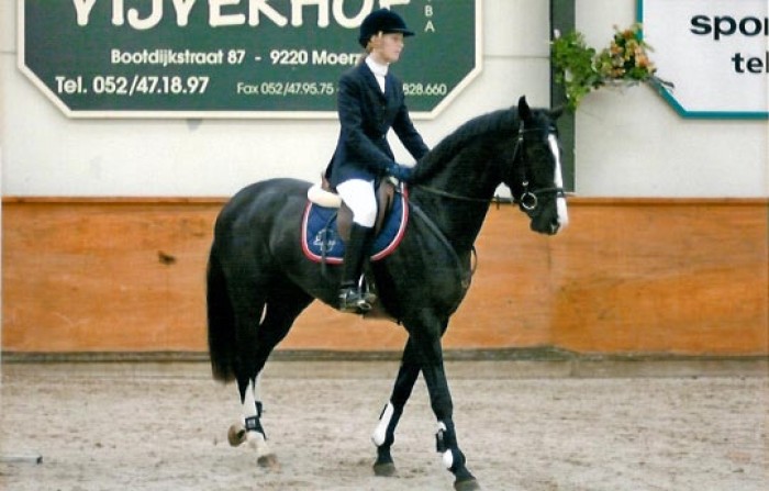 Finale Golden Horse Trophy