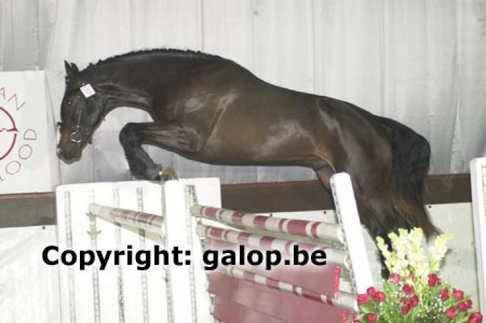 Quel Hero de Muze sold to France