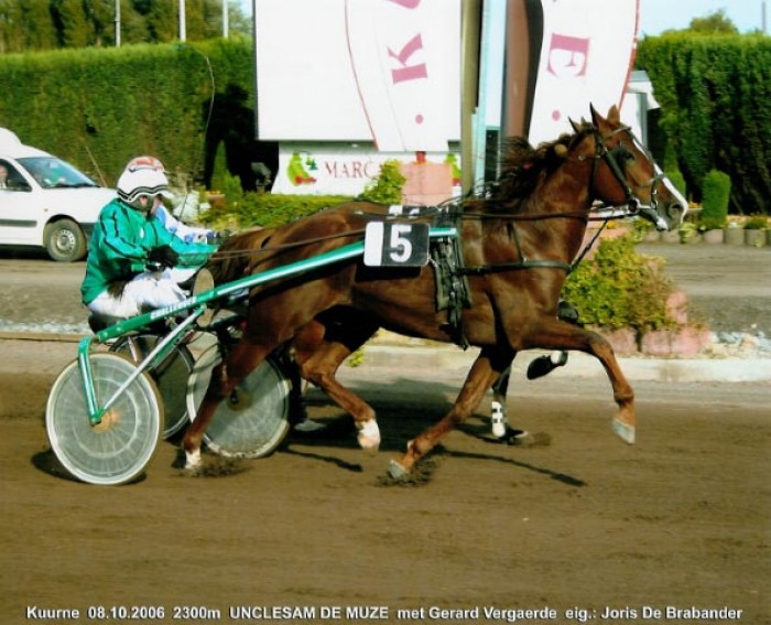 Course Waregem (Belgium)