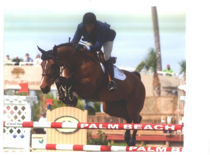 Het stamboek sBs betreedt de Wereld Top 10 springen