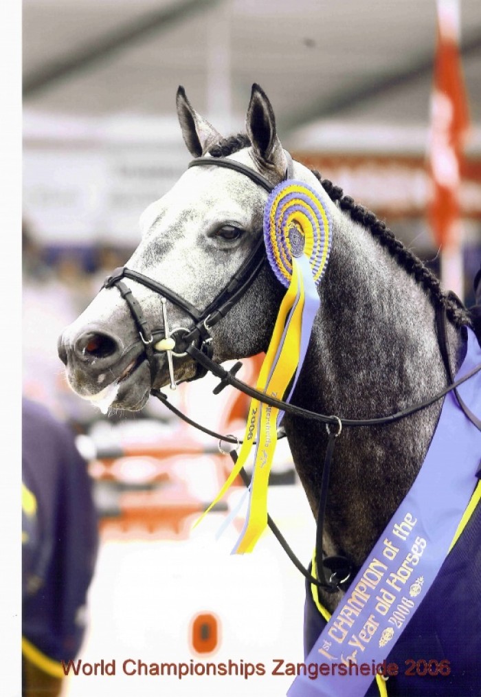 A Pickachu de Muze chez Billy Twomey
