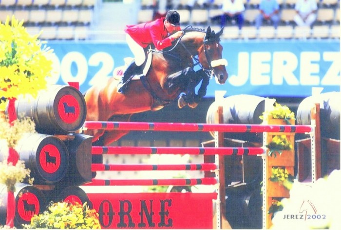 CSIO***** DUBLIN (Ireland) - 7-10/8/2008