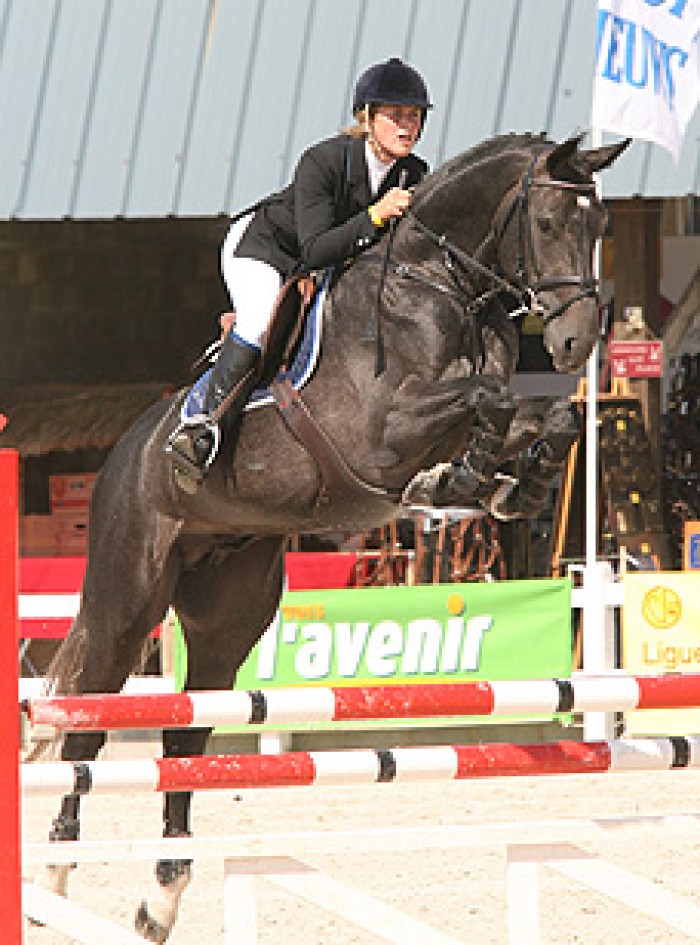 Cyclus Jonge paarden Wisbecq