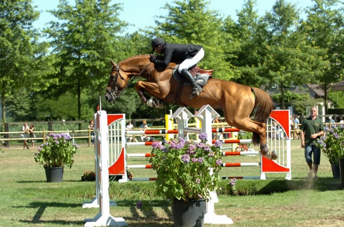 CSIO***** DUBLIN (6-9/8/2009)