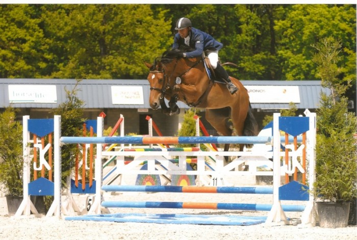Cyclus jonge paarden Gesves (22-24/5/2010)