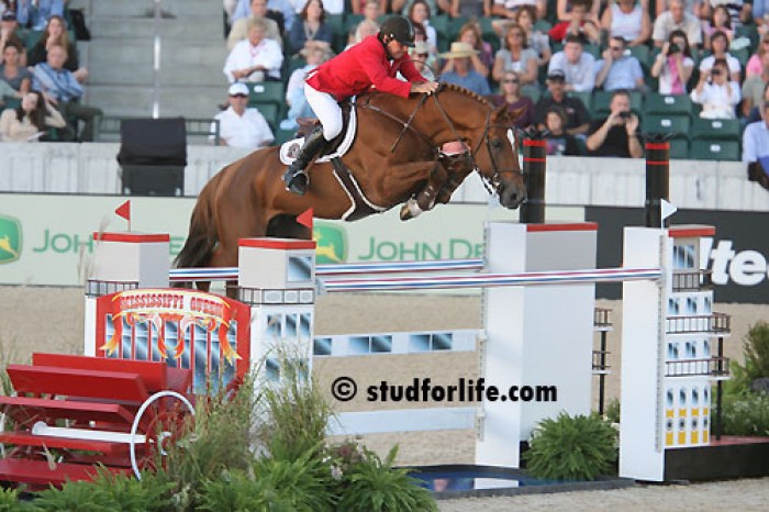 WEG KENTUCKY