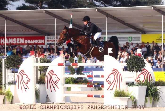 CSI** BRUSSEL (25-28/11/2010)