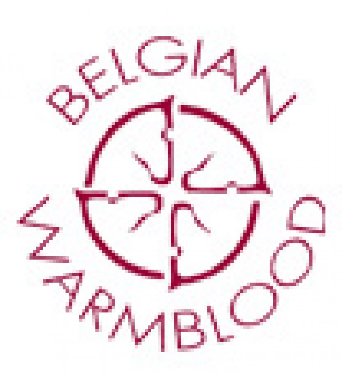 HENGSTENKEURING BWP MOORSELE