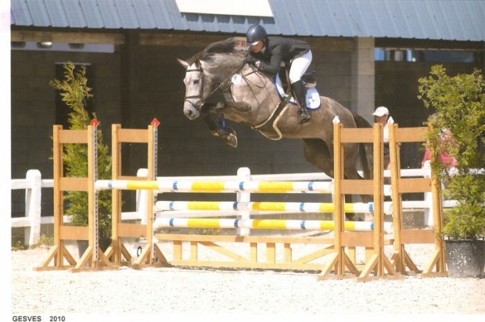 CYCLUS JONGE PAARDEN POTTES