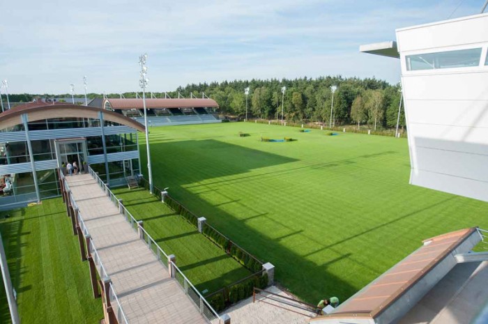 JONGE HENGSTEN STAL DE MUZE IN ACTIE IN DE TOPS INTERNATIONAL ARENA