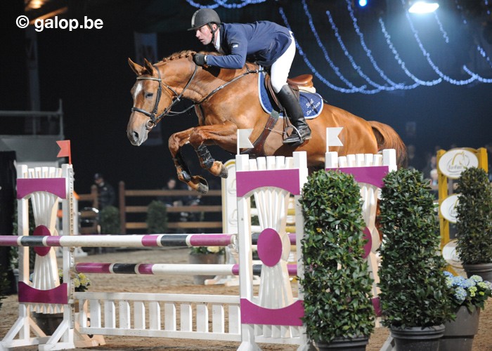 BRITS KAMPIOENSCHAPJONGE PAARDEN