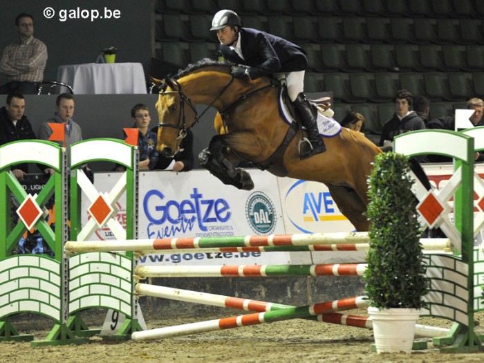 PAVO HENGSTENCOMPETITIE S GRAVENWEZEL