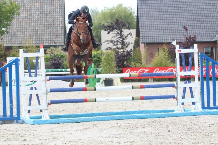 BK JONGE PAARDEN GESVES