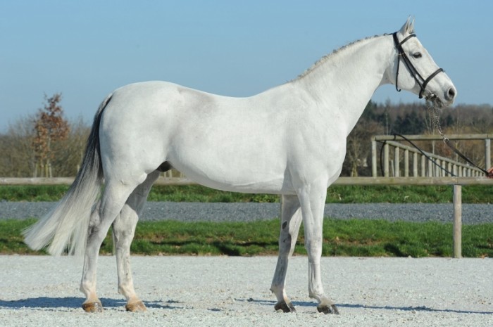 Malito delivers in Mexico