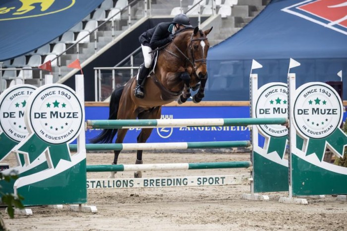 Prince Cute wint hengstencompetitie Opglabbeek