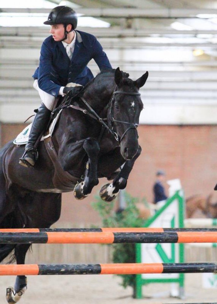 KNHS/KWPN HENGSTENCOMPETITIE ROOSENDAAL