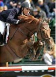 Mario Deslauriers en Paradigm (V: Nabab de Reve) winnen GP CSIO Palm Beach
