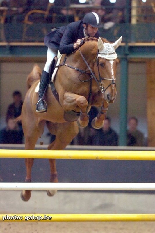 CSI*** VICHY (FRA) (11-13/7/2008)