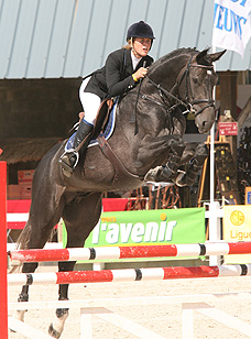 Cyclus Jonge paarden Wisbecq