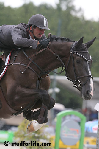 EINDKLASSEMENT CYCLUS JONGE PAARDEN