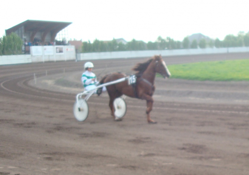 KOERS WAREGEM (24/7/2011)