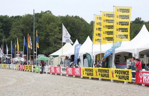 KVB JONGE PAARDEN GESVES DAG 3