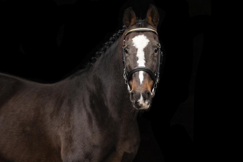Jonge Fantomas-dochter wint in Lier