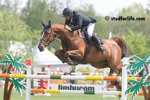 CSI3* ST KATELIJNE WAVER