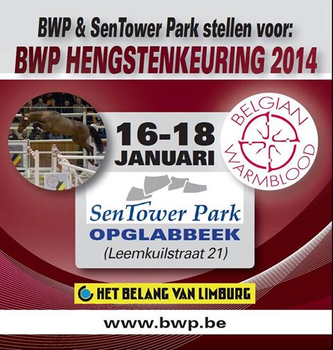 HENGSTENKEURING BWP