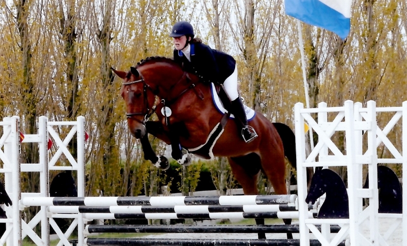 CYCLUS JONGE PAARDEN MOORSELE