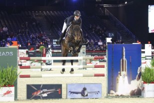 BWP hengstenkeuring