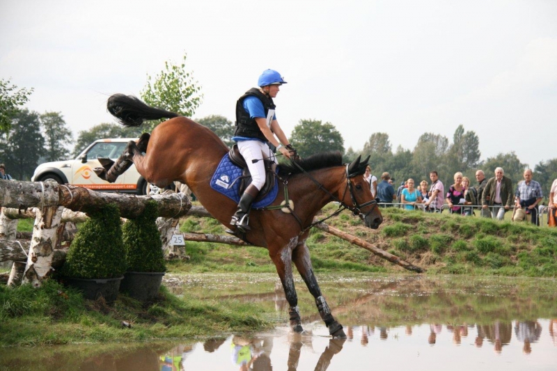 CIC3* BAMHAM