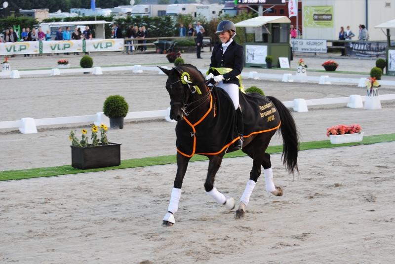 FLANDERS DRESSAGE EVENT