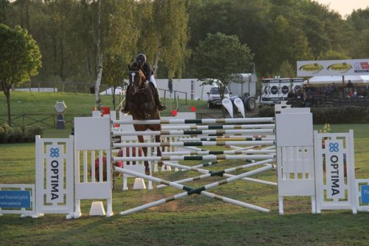 CSI5* lummen