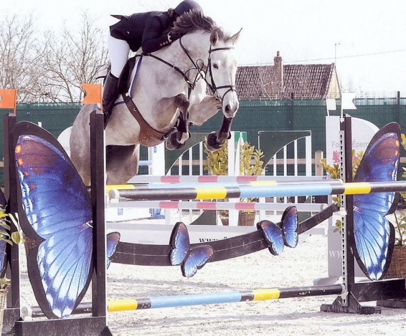 CYCLUS JONGE PAARDEN MOERZEKE