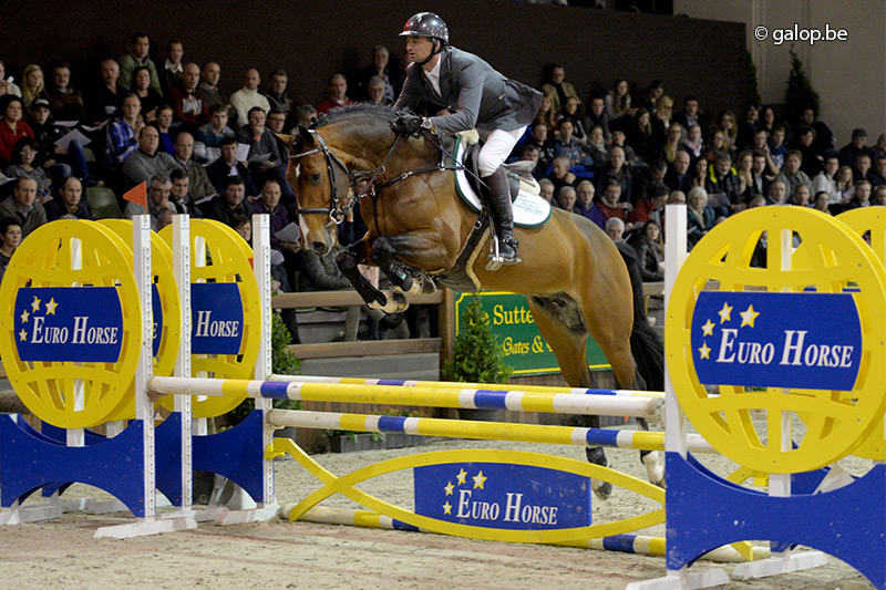 PAVO HENGSTENCOMPETITIE - 1e MANCHE Lier