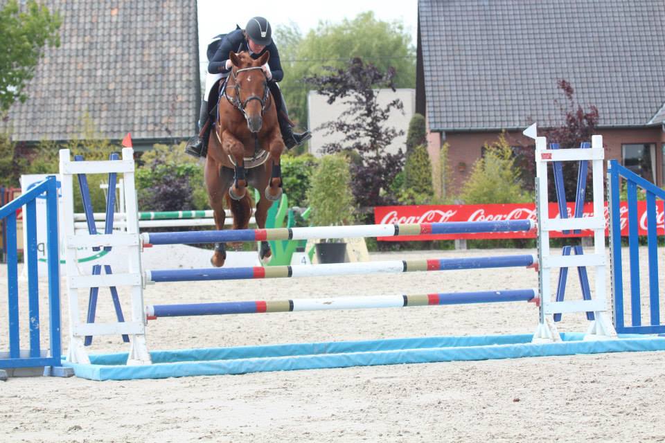 Kampioenschap HROV Jonge paarden