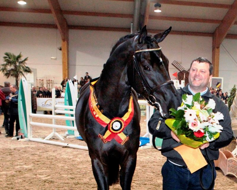 Stal De Muze sluit  samenwerking af met Stal Nijhof over I'm Special de Muze