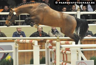 BWP hengstenkeuring