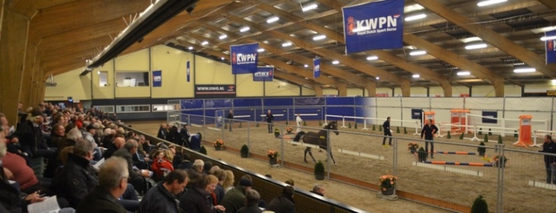 KWPN HENGSTENKEURING HERMELO