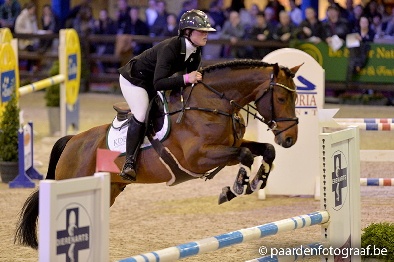 PAVO HENGSTENCOMPETITIE WEN LIER