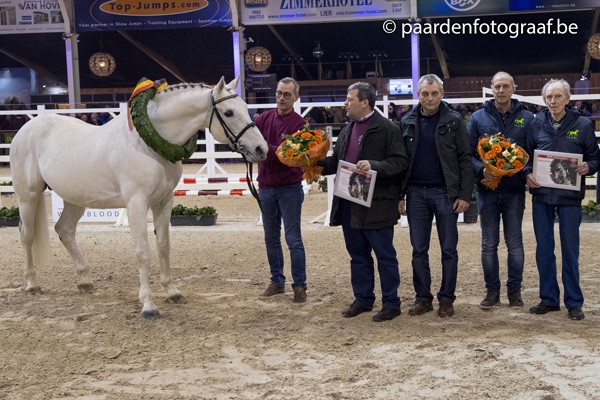 BWP HENGSTENKEURING TWEEDE FASE