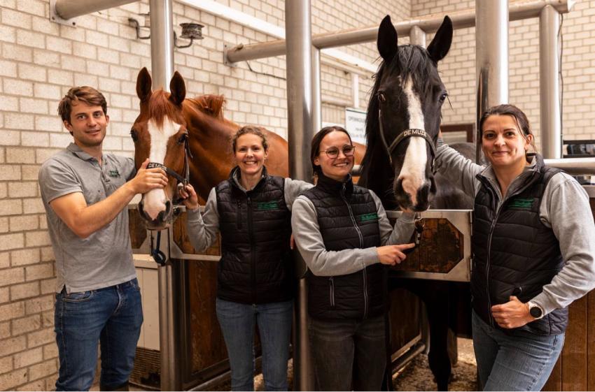 GEZOCHT : jong en gepassioneerde dierenarts (in spe) die ervaring wil opdoen in de equine voortplanting !