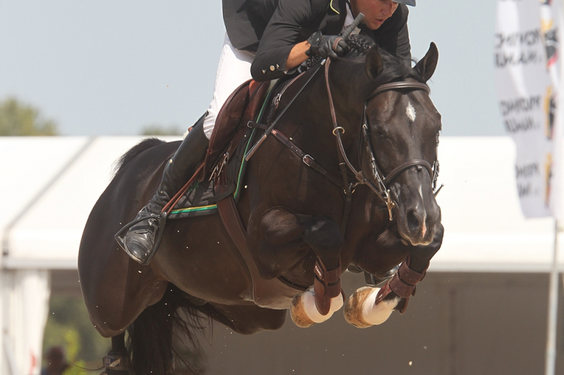 Scendro-zoon wint GP Ocala