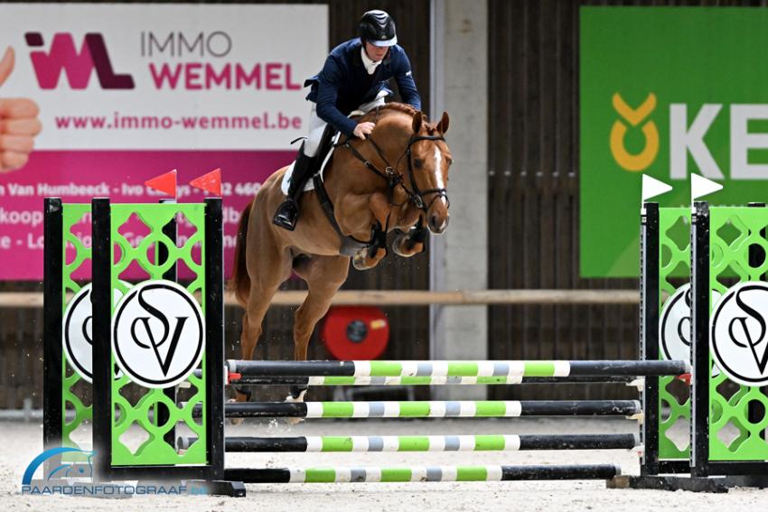 Geslaagde tweede manche Belgian Stallion Competition