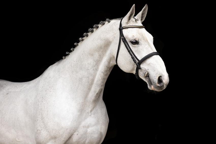 Knappe zege voor El Torreo