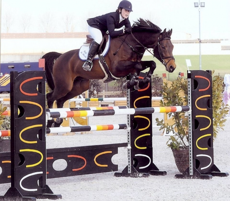 CYCLUS JONGE PAARDEN HASSELT