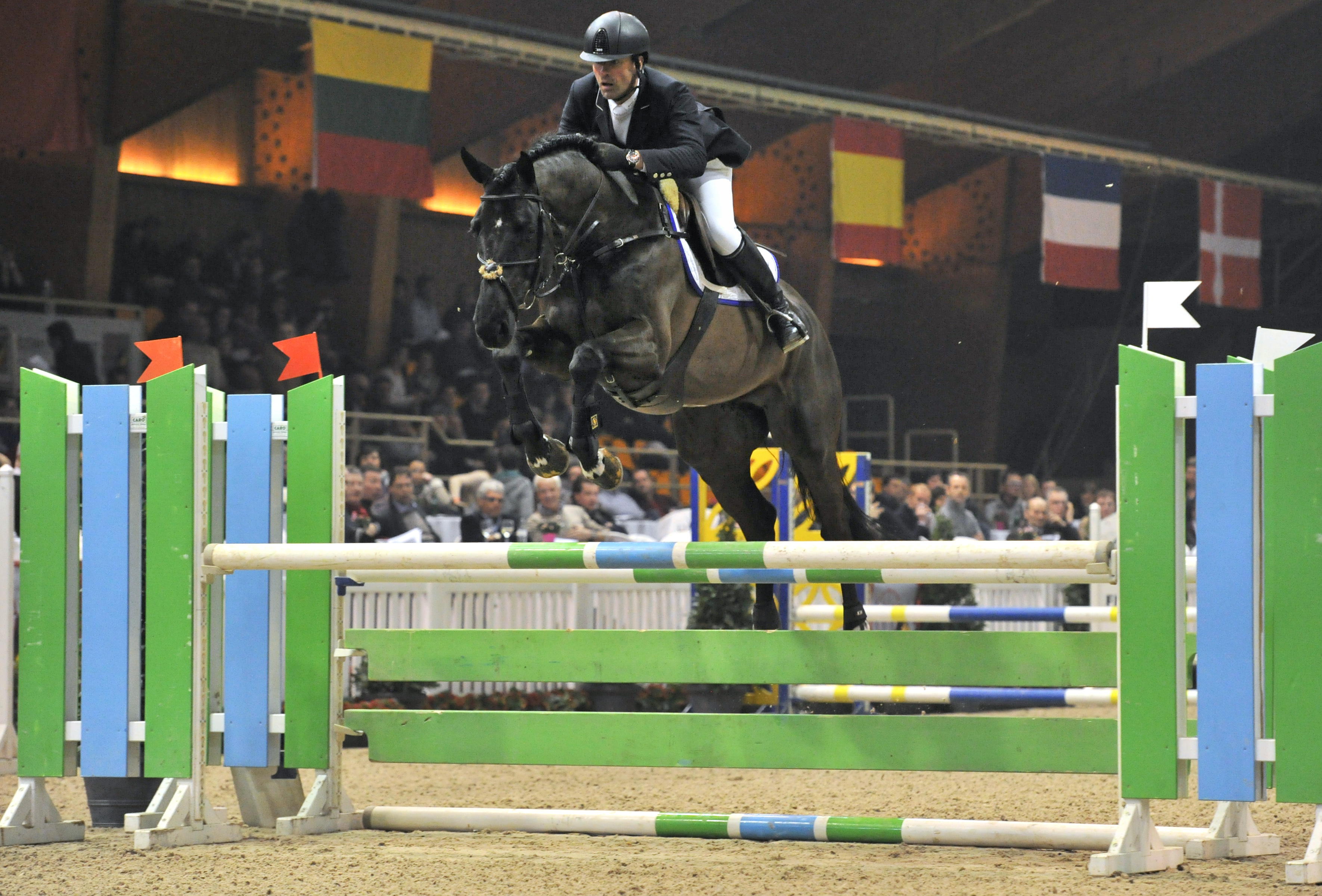KNHS/KWPN HENGSTENCOMPETITIE ERMELO
