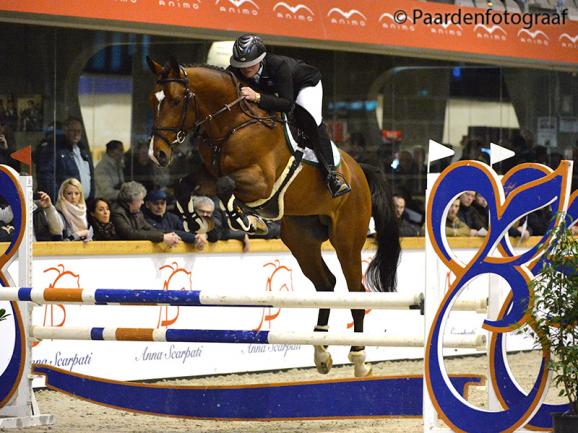 HENGSTENCOMPETITIE GESVES